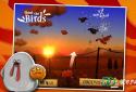 Shoot The Birds screenshot 2