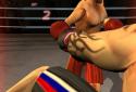 Iron Fist Boxing screenshot 2