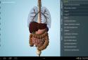 Anatomy 3D Pro - Anatronica screenshot 4
