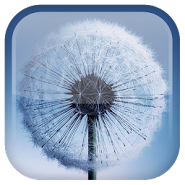 Galaxy S3 Dandelion
