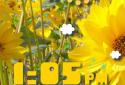 Weather Flow Live Wallpaper screenshot 8