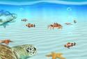 Ocean Aquarium 3D: Turtle Isle screenshot 3