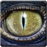Dinosaur Eye Live Wallpaper