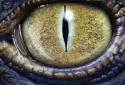 Dinosaur Eye Live Wallpaper screenshot 1