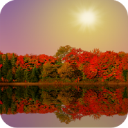 Autumn Lake Live Wallpaper