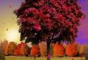 Autumn Trees Live Wallpaper screenshot 10
