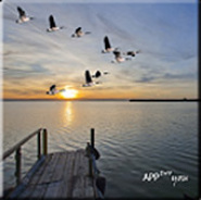 Feeling Good Blue Lake LW