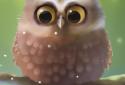 Little Owl screenshot 1