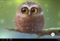 Little Owl screenshot 7