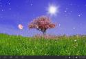 Spring Trees Live Wallpaper screenshot 7