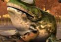 3D Animated Toad LWP screenshot 3