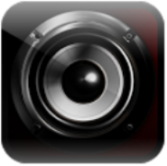 Speaker screen Screen Speaker