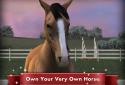 My Horse screenshot 1