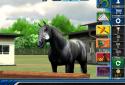 iHorse Racing screenshot 10