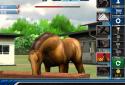 iHorse Racing screenshot 11
