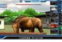 iHorse Racing screenshot 7
