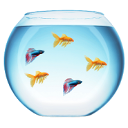 My Fish Bowl Live Aquarium