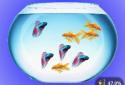 My Fish Bowl Live Aquarium screenshot 2