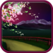 Evening Sakura Live Wallpaper