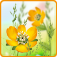 Spring Flowers Live Wallpaper