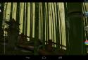 Bamboo grove 3D screenshot 3