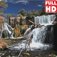 Beautiful Waterfall Live HD
