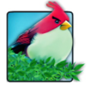 Natural Angry Birds Free LWP