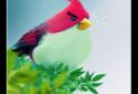 Natural Angry Birds Free LWP screenshot 3