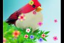 Natural Angry Birds Free LWP screenshot 4