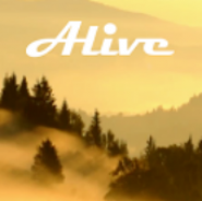 Forest Alive Video Wallpaper + (Video Wallpaper Forest +)