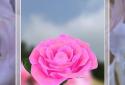 Live Wallpaper "rose 3D" screenshot 2