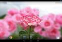Live Wallpaper "rose 3D" screenshot 4