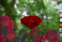 Live Wallpaper "rose 3D" screenshot 5
