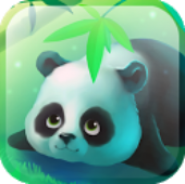 Bamboo Panda