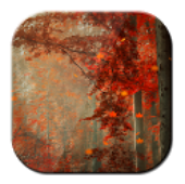 Autumn Forest Free LWP