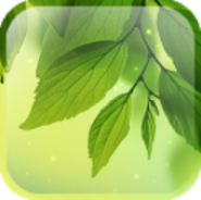 Galaxy S4 Leaf Animated