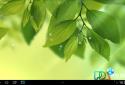 Galaxy S4 Leaf Animated screenshot 1