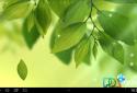 Galaxy S4 Leaf Animated screenshot 2