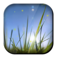 Xperia Z Cool Grass LWP