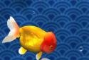 Gold Fish 3D Live Wallpaper screenshot 1