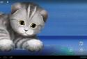 Silvery the Kitten HD LWP screenshot 9