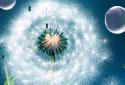 Dandelion Live Wallpaper screenshot 2