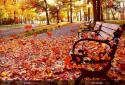 Autumn Pro Live Wallpaper screenshot 9