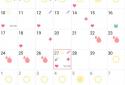 Menstrual calendar screenshot 5
