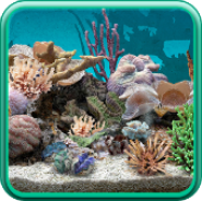 3D Aquarium Live Wallpaper PRO
