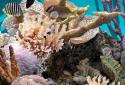 3D Aquarium Live Wallpaper PRO screenshot 3