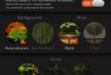 Zen Garden -Fall- LW screenshot 7