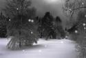 Falling Snow-Christmas LWP screenshot 2