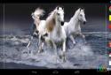 Beautiful Horses Wave effect screenshot 2