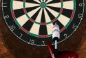 Pro Darts 2014 screenshot 1